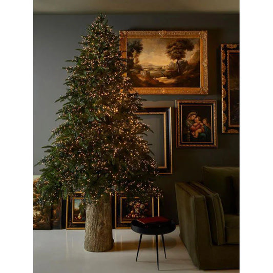 EDG Enzo de Gasperi Albero di Natale Pino Luxury 210 cm con 4000 mini led D142